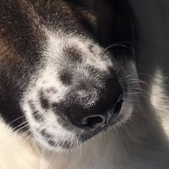 Meet your Posher, Jan - Picture 1 of 1